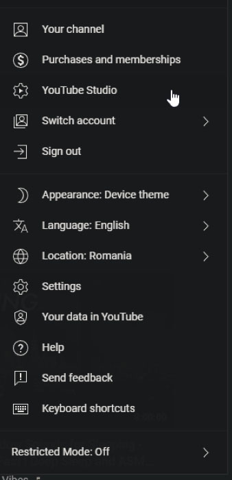 YouTube channel options page