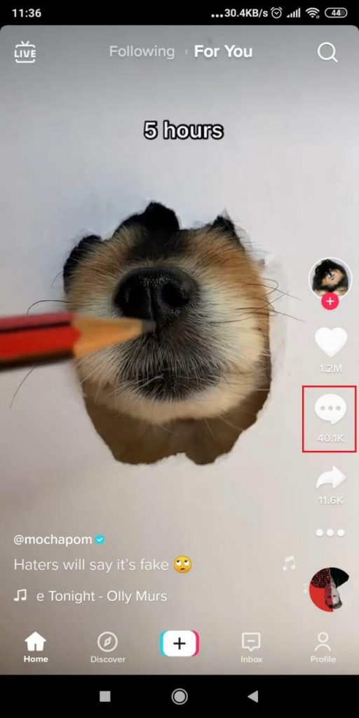 Screenshot of a TikTok video page