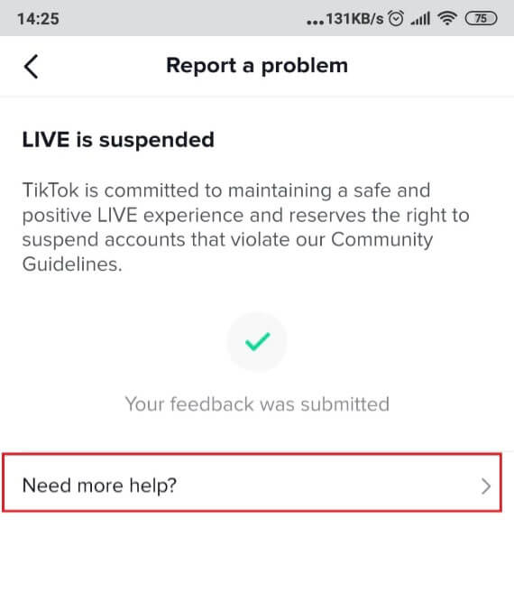 Image showing a menu item on TikTok's Report a problem page.