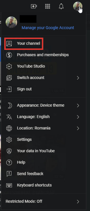 You YouTube Channel Menu Overview