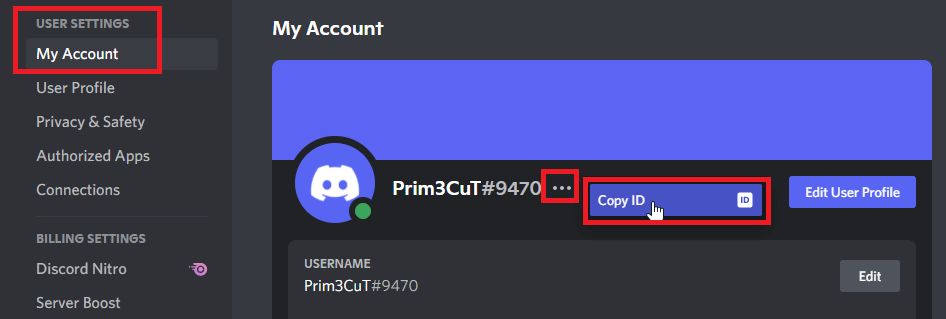 Copy your Discord ID