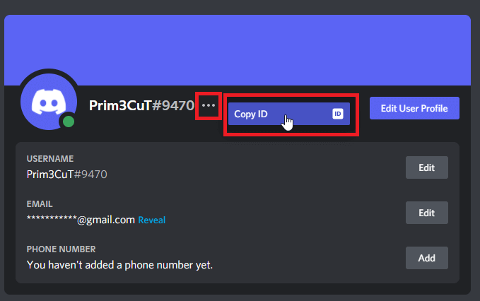 Click on the three dots next to your username and copy your Discord ID
