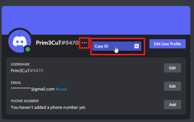 How to Copy Your Discord Profile Link? - Whizcase