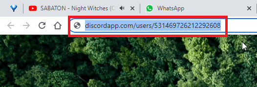 Open a browser and enter “discordapp.com/users/[your ID]