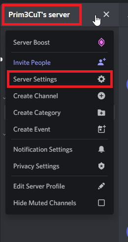 Click on your server’s name and select “Server Settings”