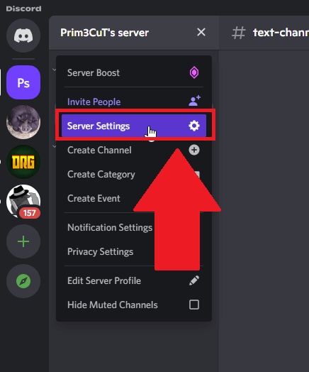 Select “Server Settings”