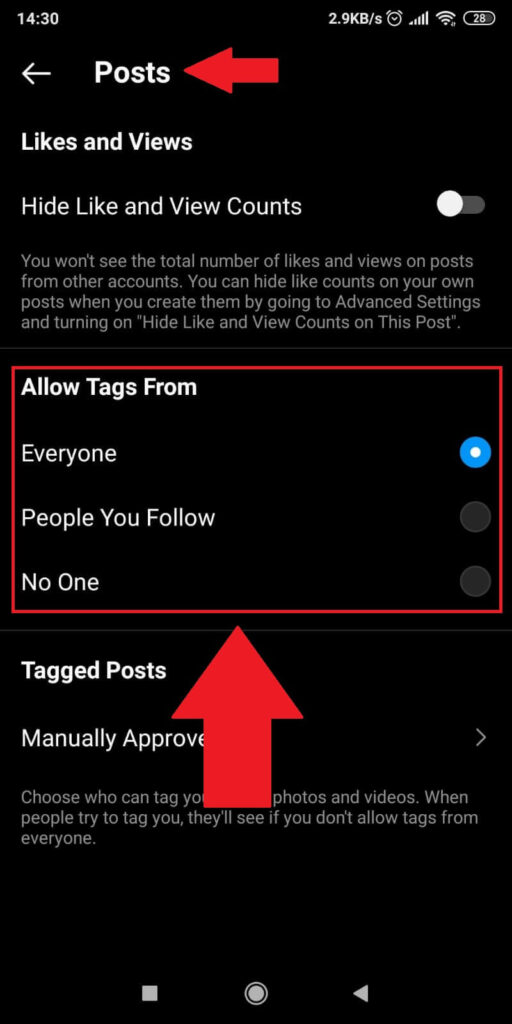 Go to “Posts” and choose and option
