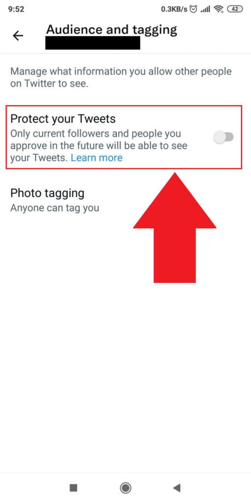 Enable the "Protect your Tweets" option