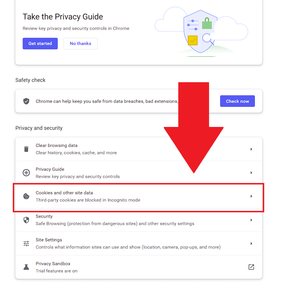 Select "Cookies and other site data"