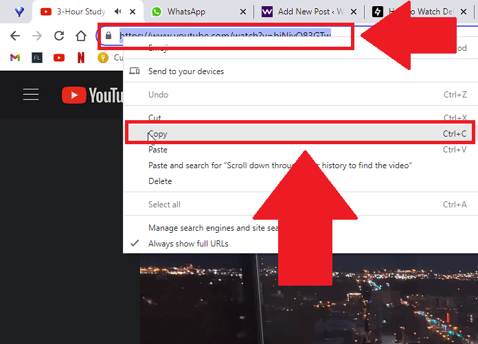 How to Watch Deleted YouTube Videos Whizcase