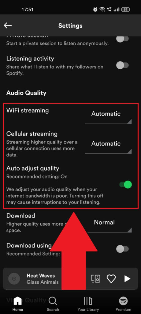 Set the "Audio Quality" settings to "Automatic"