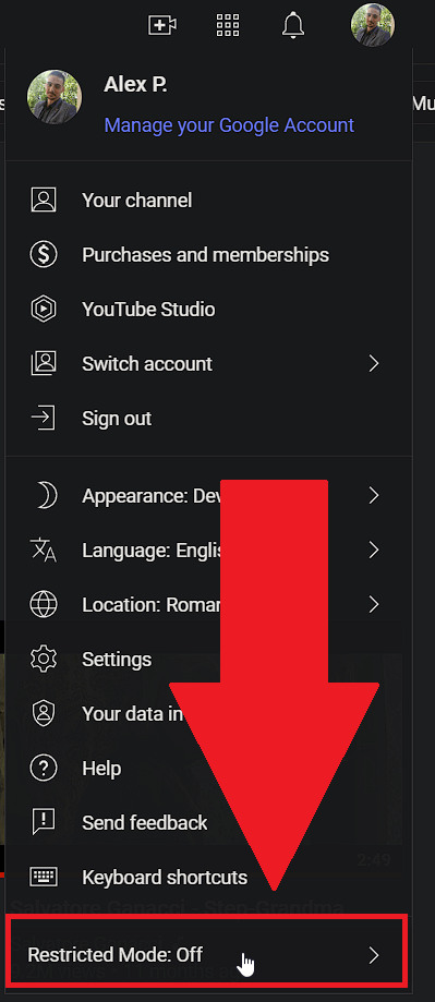 Select "Restricted Mode"