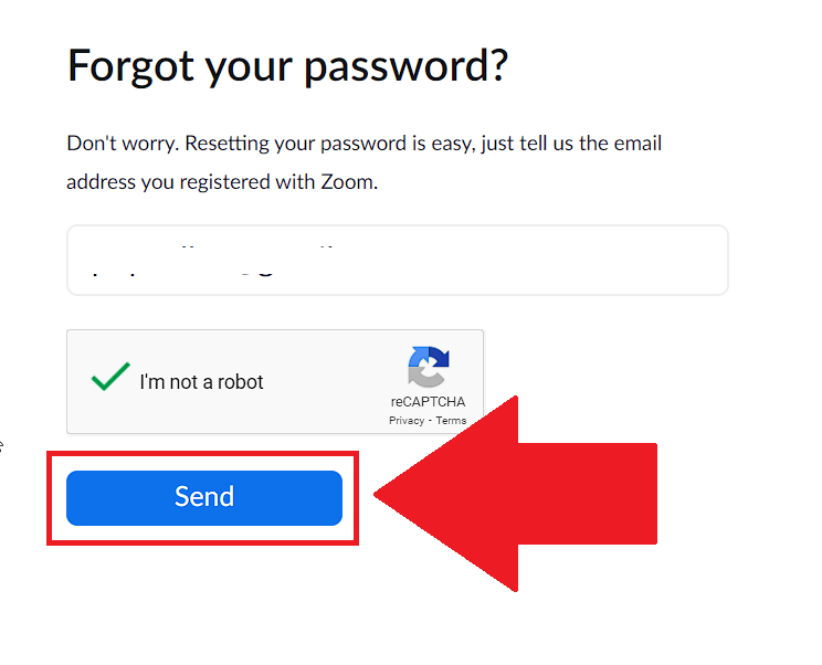 Enter your email address and select "Send"