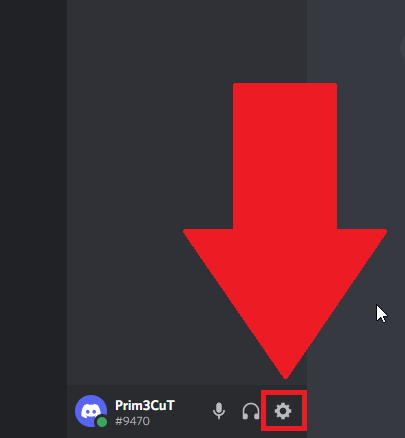 Gear icon on Discord
