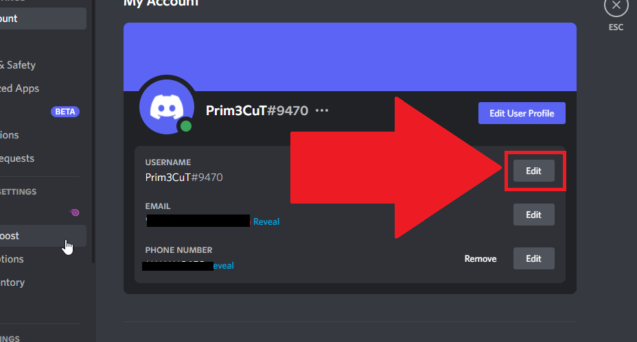 Click "Edit" next to "Username" on Discord