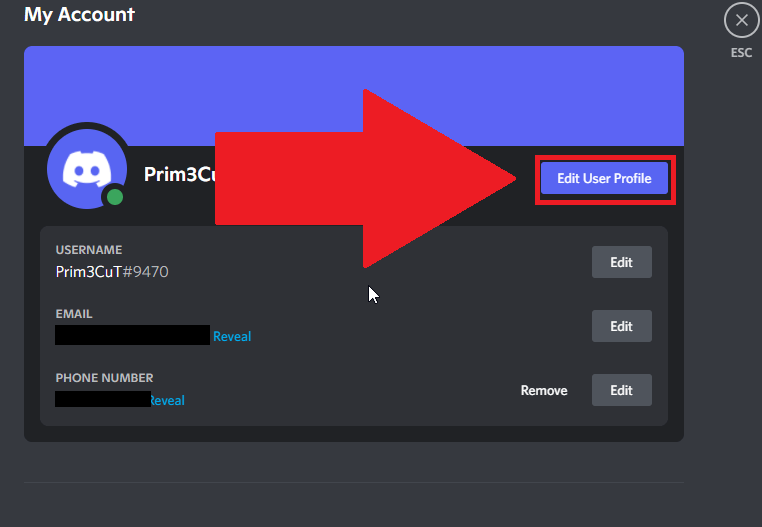 Select "Edit User Profile" on Discord