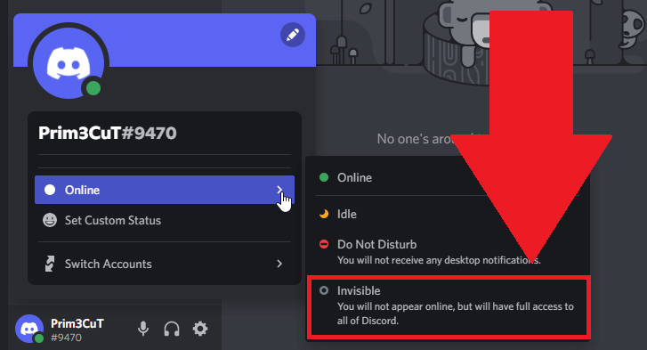 Select "Online - Invisible" on Discord