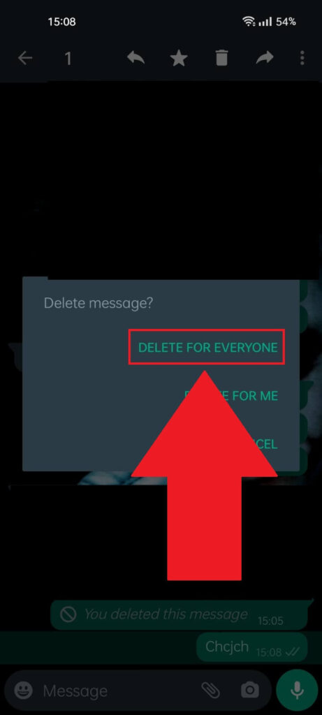 Select "Delete for Everyone" on Whatsapp.