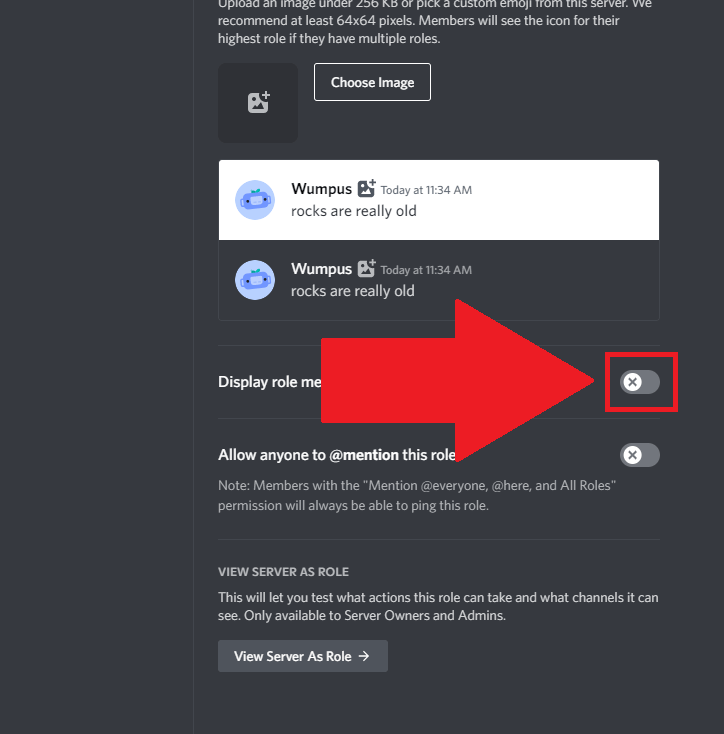 Check the "Display role members separately from online members" option