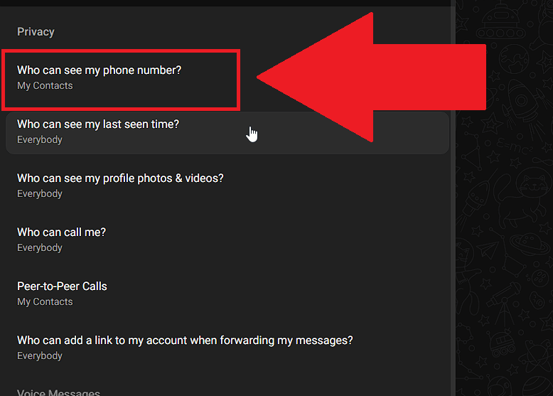 Select "Who can see my phone number?"