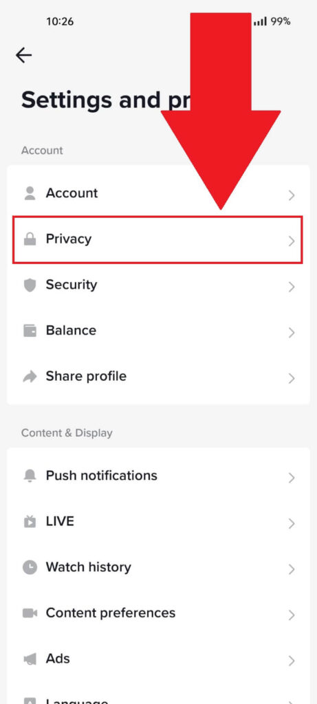 TikTok settings page showing the "Privacy" option highlighted in red