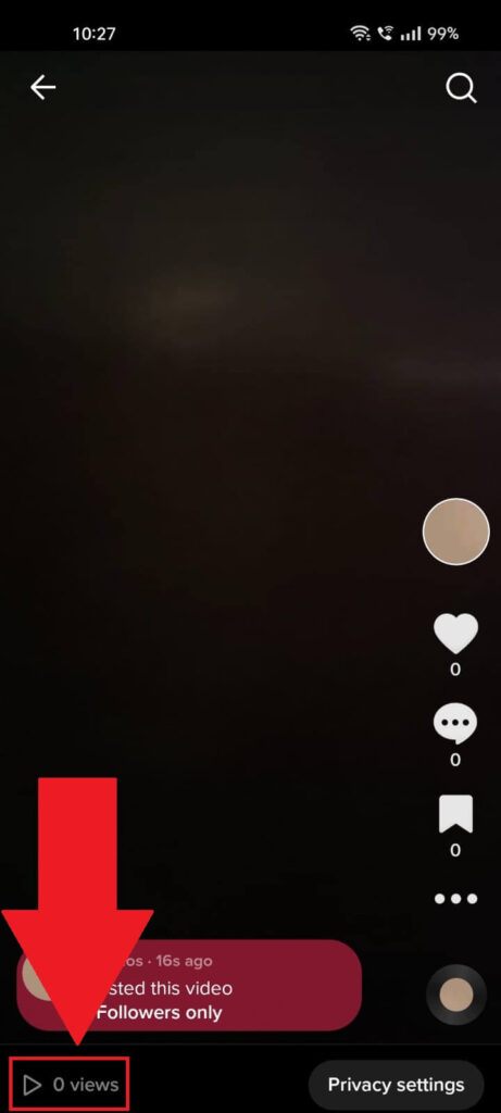 TikTok video interface showing the view counter highlighted in red