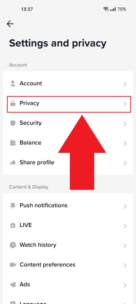 TikTok "Settings" page where the "Privacy" option is highlighted