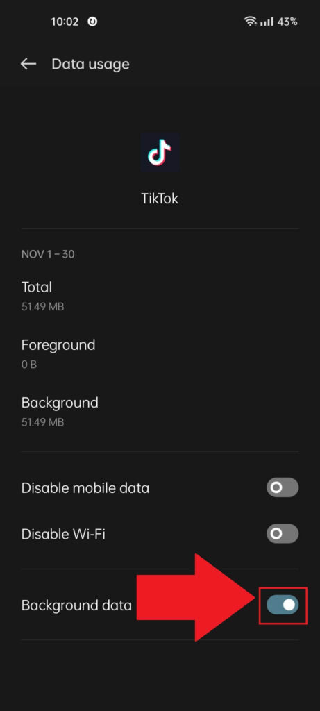 "Data usage" page for TikTok, where the "Background data" option is highlighted