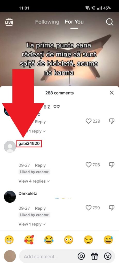 TikTok comment section with someone's username highlighted