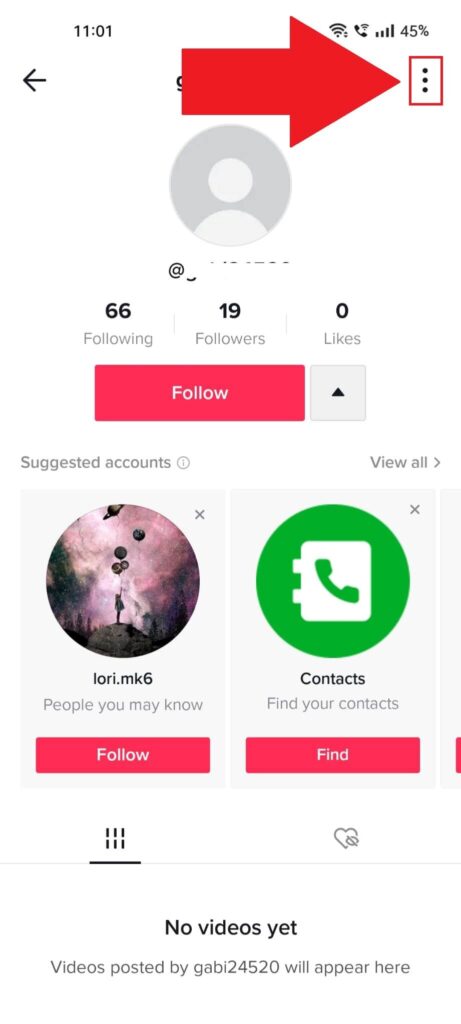 Profile page on TikTok with the "Menu" (three-dot icon) icon highlighted