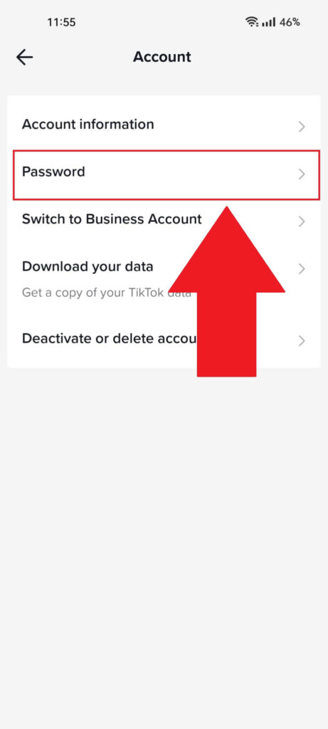 "Account" menu on TikTok showing the "Password" option highlighted