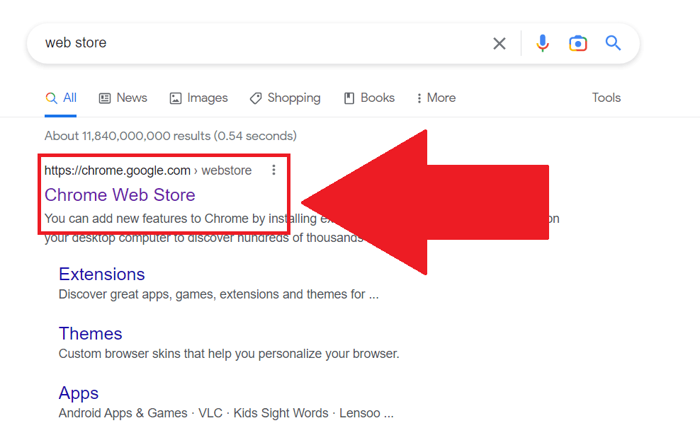 Google search results showing the "Chrome Web Store" result highlighted in red