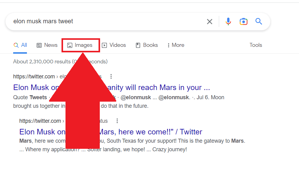 Google search showing the "Images" button highlighted in red