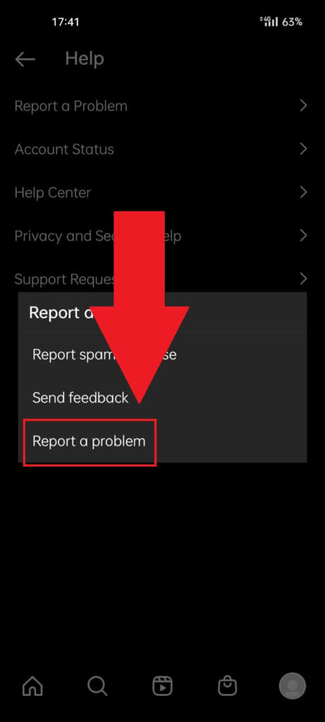 Instagram Help settings showing a pop-up menu with four options, where the "Report a problem" option is highlighted