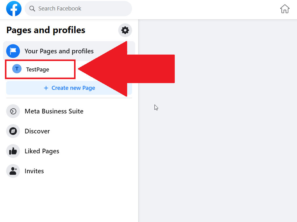Facebook "Pages and profiles" section showing a specific page highlighted in red