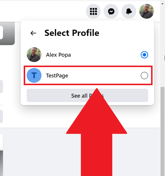 Facebook "Select Profile" menu showing a Facebook page selected