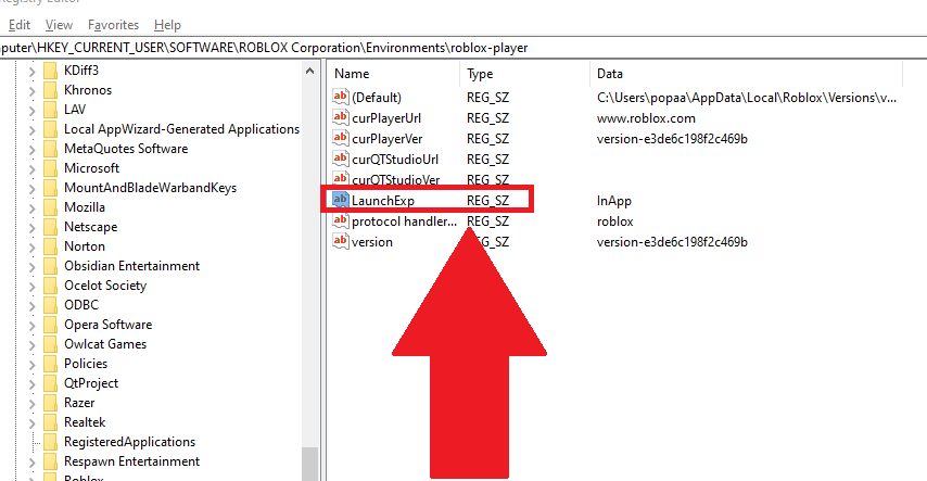 Registry Editor showing the "LaunchExp" file highlighted in red