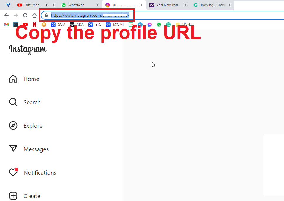 Google Chrome page showing the URL of an Instagram profile highlighted in red