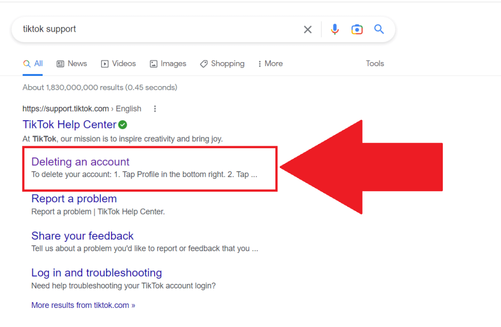 Google search results showing the "Deleting an account" sub-topic of the "TikTok Help Center" search result highlighted in red
