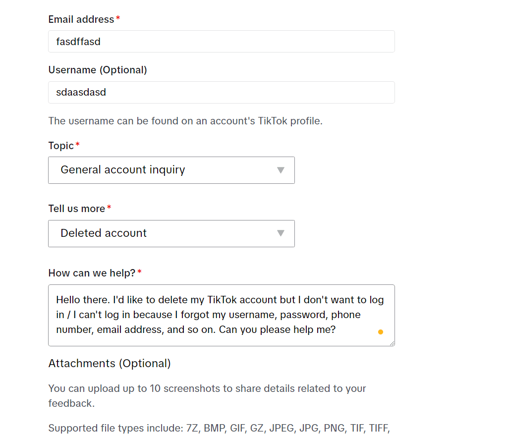 TikTok report form where some of the fields are completed