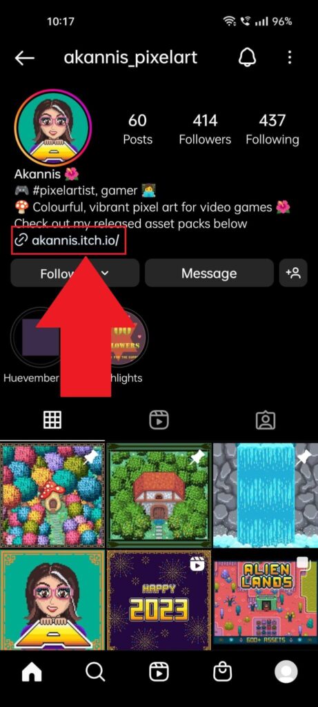 Instagram profile page showing someone's personal website highlighted in red