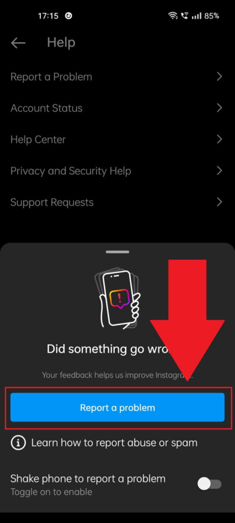 Instagram "Help" page showing the "Report a problem" option highlighted in a notification