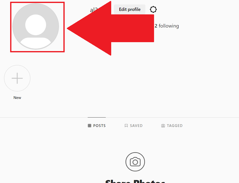 Instagram on a computer showing the profile page where the profile picture is highlighted in red