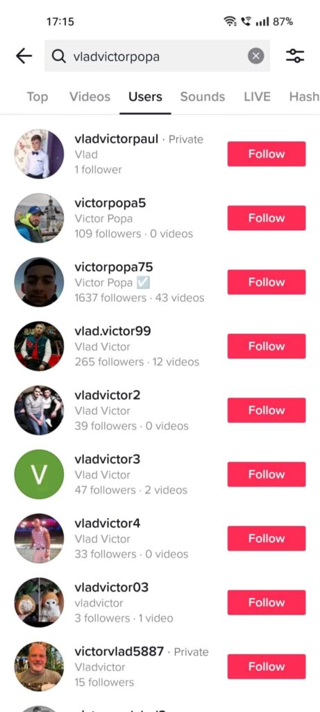 TikTok "Users" search results