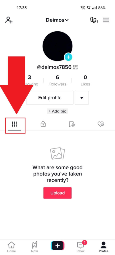 TikTok profile page showing the "Posts" icon highlighted in red