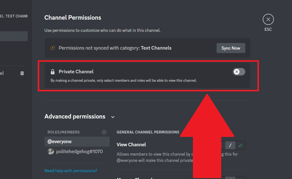Discord window showing the "Private Channel" option highlighted in red