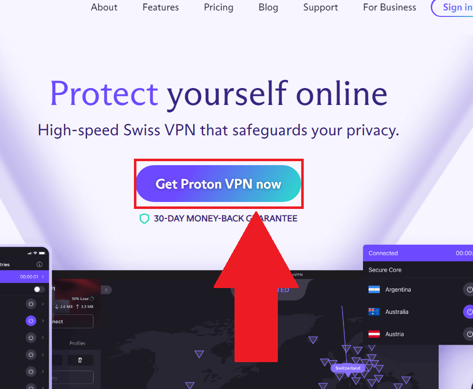 ProtonVPN official website where the "Get ProtonVPN Now" button is highlighted in red