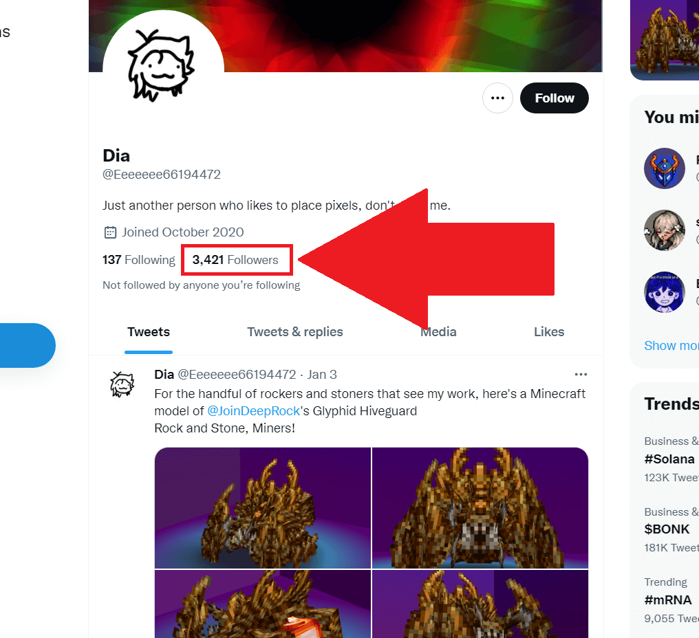 Twitter showing someone's profile page and the "Followers" marker highlighted in red