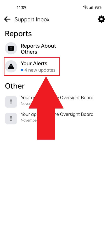 Facebook Support Inbox where the "Your Alerts" option is highlighted in red