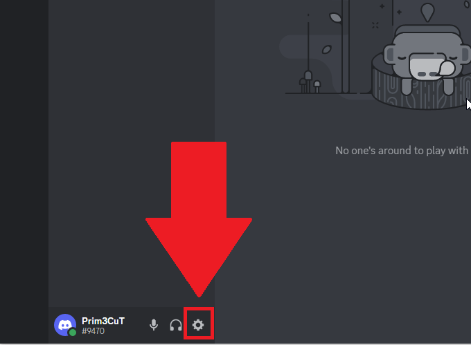 Discord window showing the Gear icon highlighted in the bottom-left corner